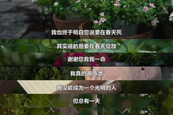 法律为何不能一命还一命：探寻正义与人性的边界