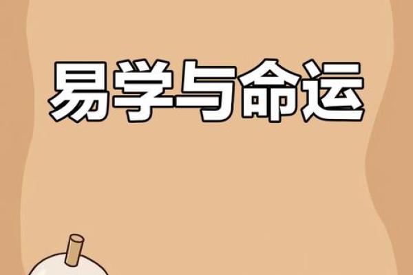 命与智商：探寻生活中的机遇与智慧之道