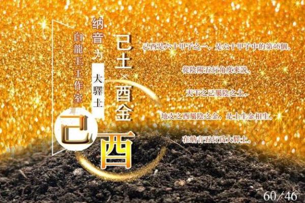 土命女士如何选择适合自己的钱包：提升气场与风水的完美结合