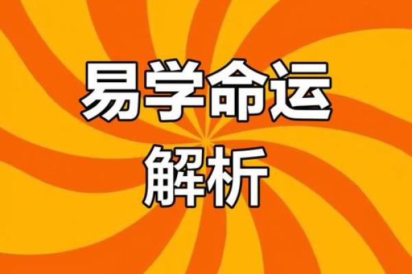 探索数学命理学：数字与命运的奇妙联系