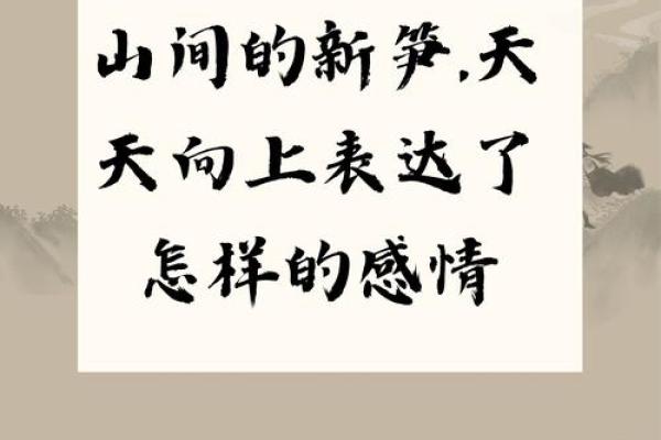 命比金贵：珍惜生命的哲理与思考