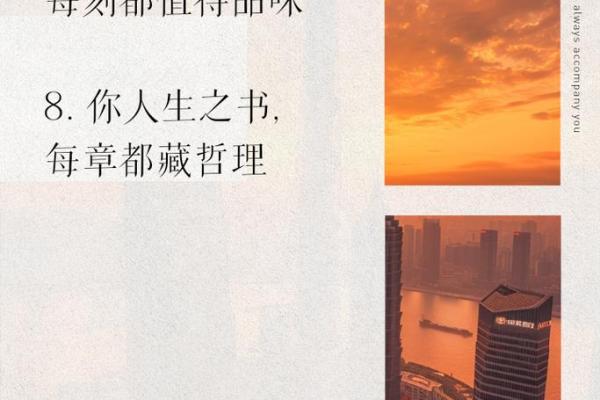 命比金贵：珍惜生命的哲理与思考