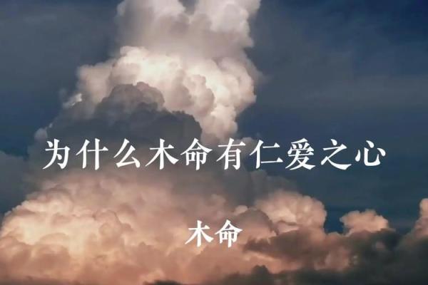 84年是什么木命：解析木命人的性格与命运轨迹