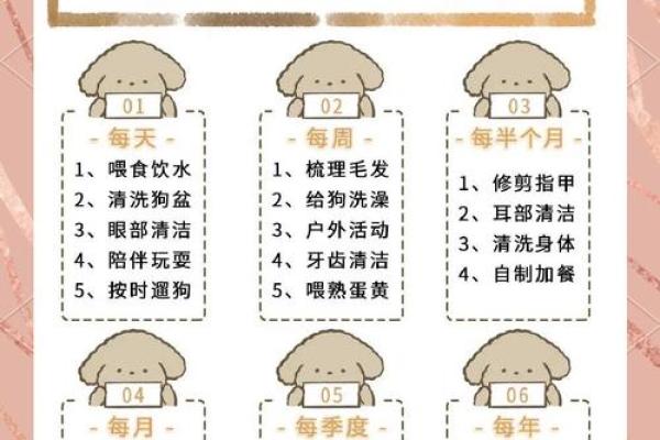 揭秘2018年出生小狗的命运与性格特点！如何正确养护！