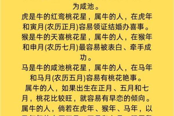 牛年出生的孩子命运解析：探究生肖与未来的奥秘