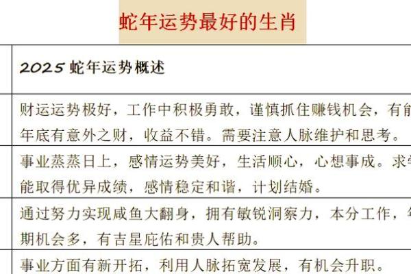2001年属蛇的命运解析：细数命理背后的秘密与机遇