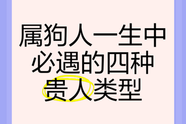 1996年属狗人的命运解析：勇敢与忠诚的象征