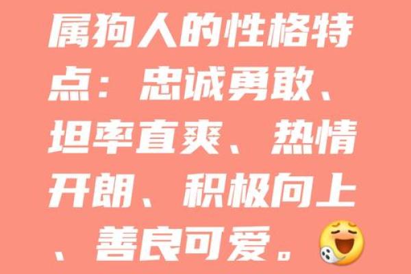 1996年属狗人的命运解析：勇敢与忠诚的象征