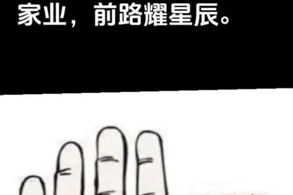 掌纹揭秘：从掌纹看你的命运与人生轨迹