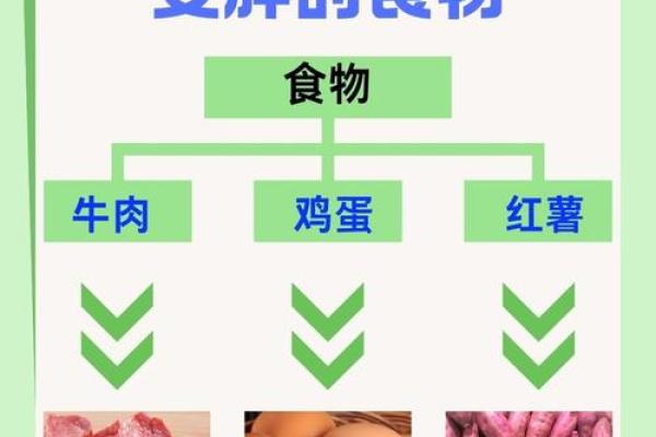 女性体质与饮食：命母的神奇功效有多大？