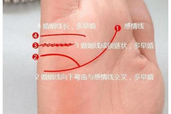 通过手相解读命运密码，轻松掌握改命秘笈！