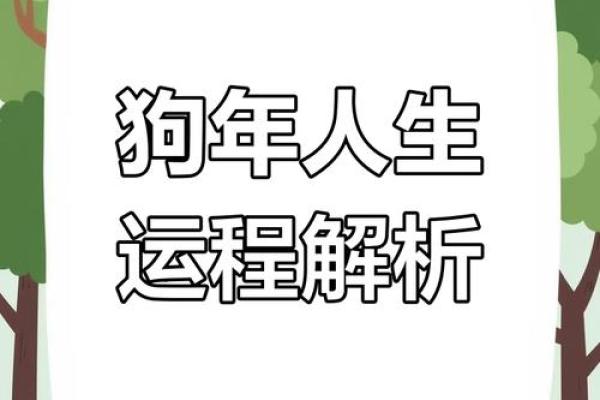 2006年属狗男性命理解析：性格、事业与爱情的全方位解读