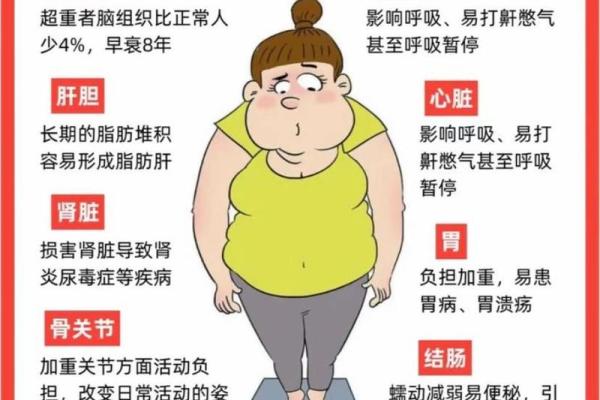揭秘：容易发胖的人背后的命运与心理密码