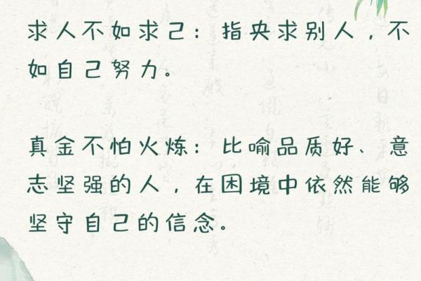 命名智慧：揭示关于“命”的经典成语与生活哲理