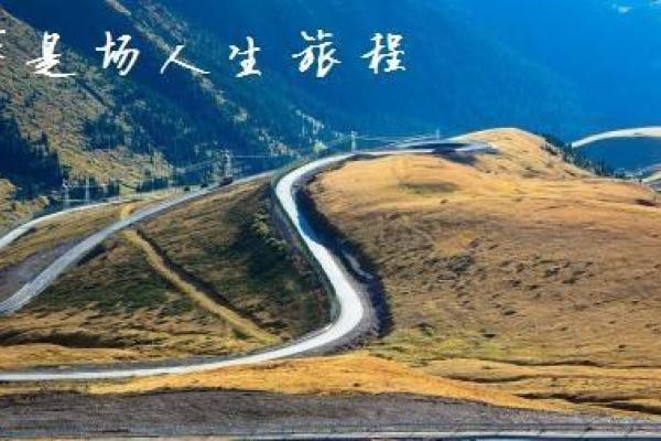 34码女生的命运：从身材到人生的精彩旅程