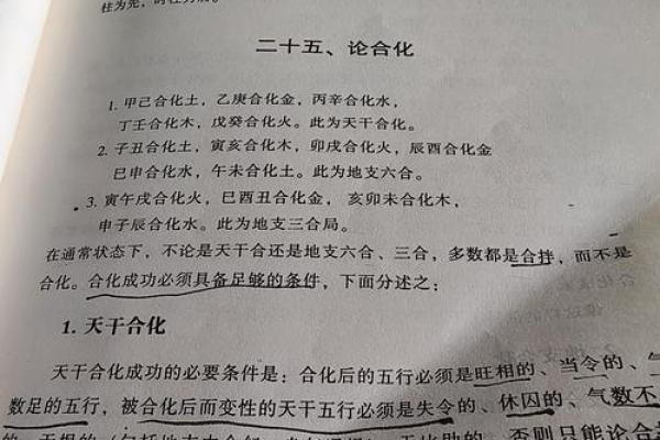2022虎年运势解析：五行与命理的深度剖析