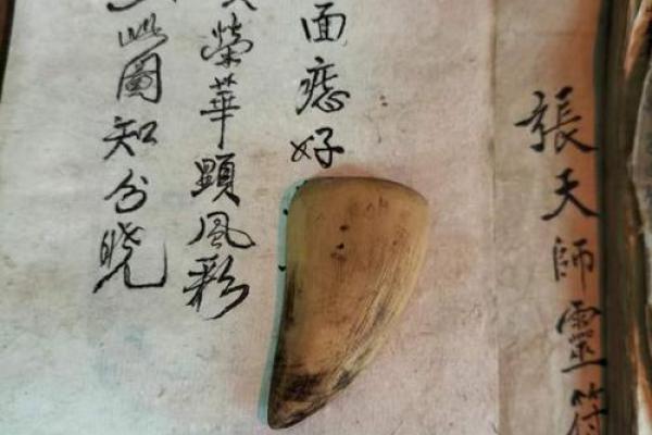 颜命之说：探寻面相与命运的奥秘