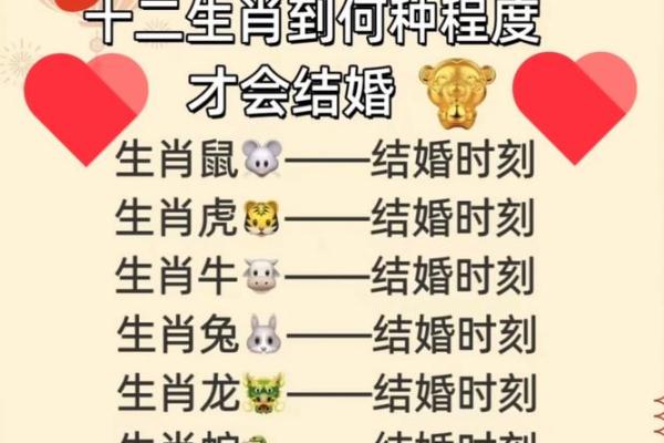 女人属什么生肖命好，揭示命运奥秘与生肖的关系