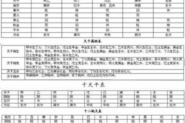 命理五行组合揭秘：如何透视你的命格与命运变迁