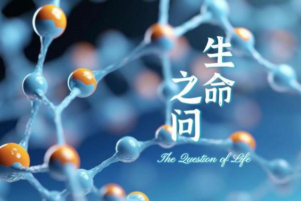 命术中的鱼命解析：探索生命的深意与潜能