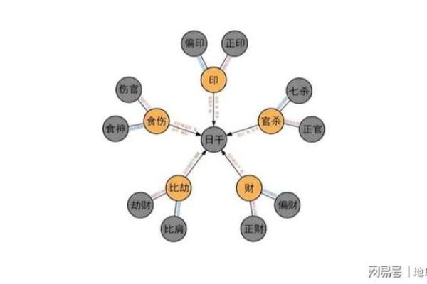 什么命的人那么厉害？揭秘命理背后的力量与智慧