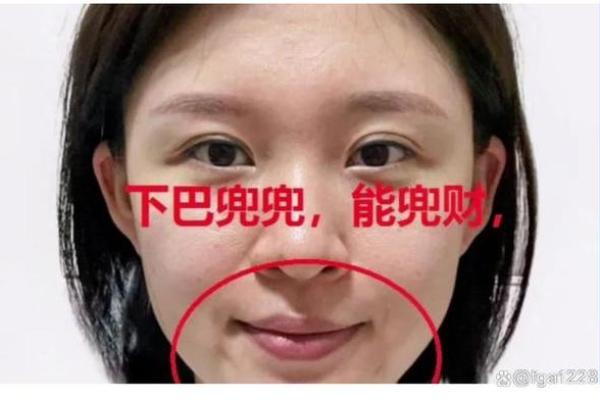 圆脸尖下巴的人生解码：命运与运势的秘密