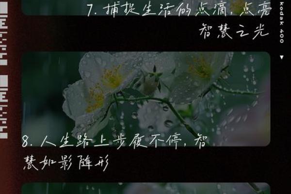 46岁女性的命运与人生智慧：解读生命的转折点与机遇