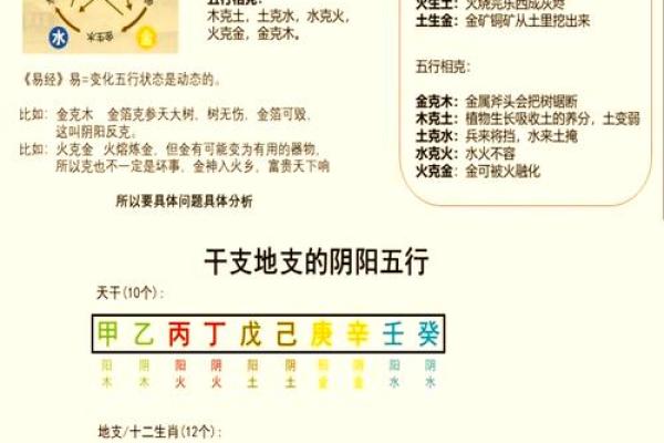 多大年龄属什么命？揭示五行命理与人生轨迹的秘密！