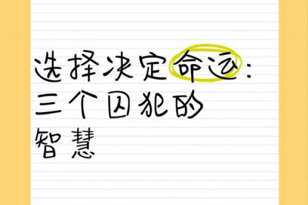 高命与低命的区别：命运中的智慧与选择