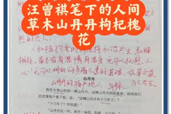 1997年腊月十八：冬日温情与人间故事的交汇