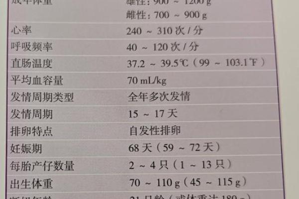 2006年属猪者的命运解析与人生指南