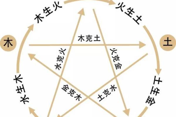 洞下水命者的生活指南：如何平衡五行与日常