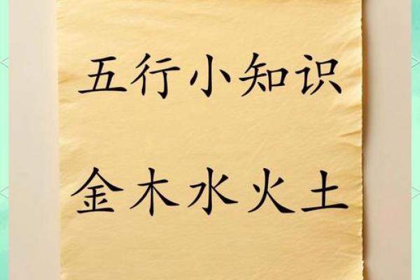 洞下水命者的生活指南：如何平衡五行与日常