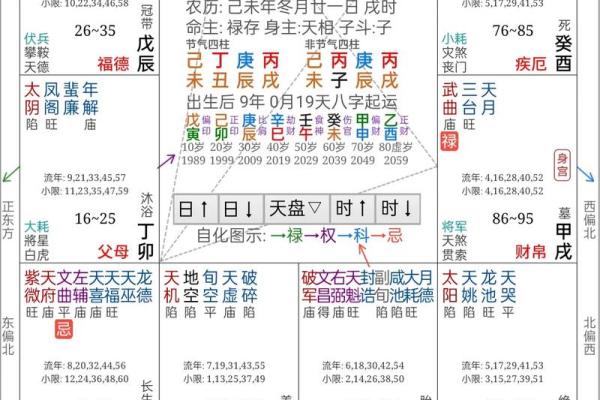 紫薇命的人：特征、性格与命运的探索