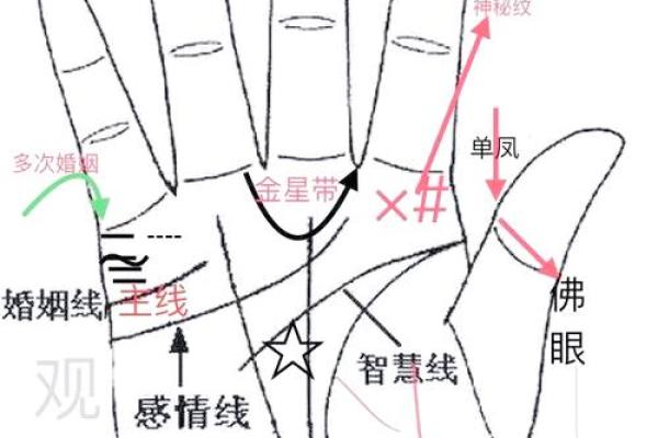 农历22号出生的人格与命运解析：命运的秘密在于它的独特性
