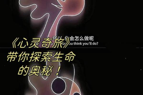 19962年的命运解析：解锁人生的奥秘与可能性
