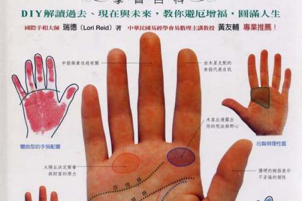 2015年出生的人命运解析：探索未来的无限可能与人生轨迹