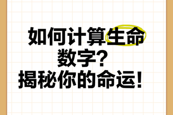 数字与命运：从古至今的智慧解读