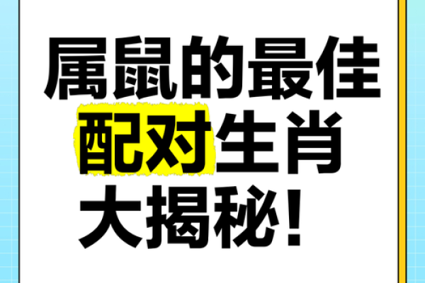 96年属鼠的命与配对，带你走进生肖的神秘世界！
