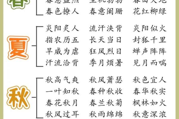 看图识成语：从图中领悟汉字之美与智慧