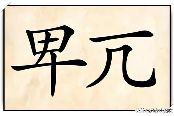 看图识成语：从图中领悟汉字之美与智慧
