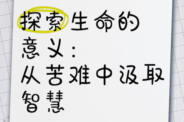 命什么注什么：探索人生中的因果关系与选择智慧