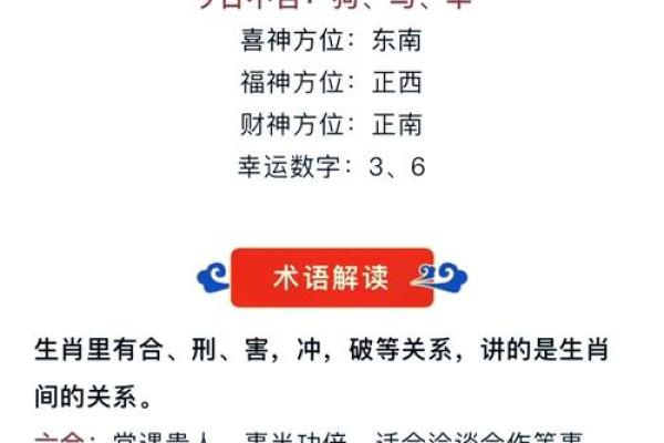 探寻命运之路：1961与1962的生肖命运解析