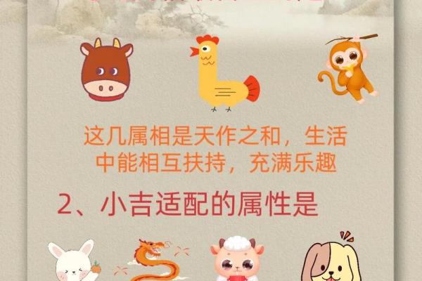 53年属什么，53年出生的人命运如何？揭秘属蛇命运与性格特点