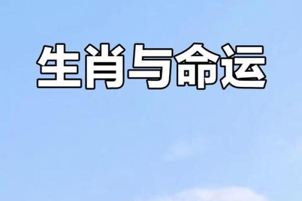 2017年的生肖与命运：探究鸡年人的人生轨迹与个性特点