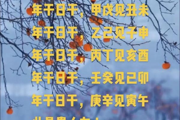 探秘丁巳庚戌庚戌戊寅命格的命理玄机与人生启示