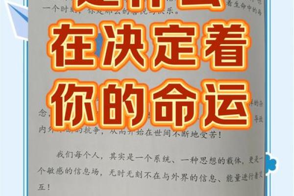 2013年兔子命运解析：如何把握人生机遇与挑战