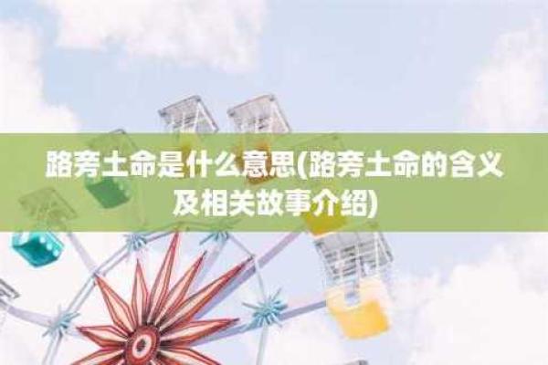 辰巳土命解析：土命在生肖命理中的深层含义及其影响力