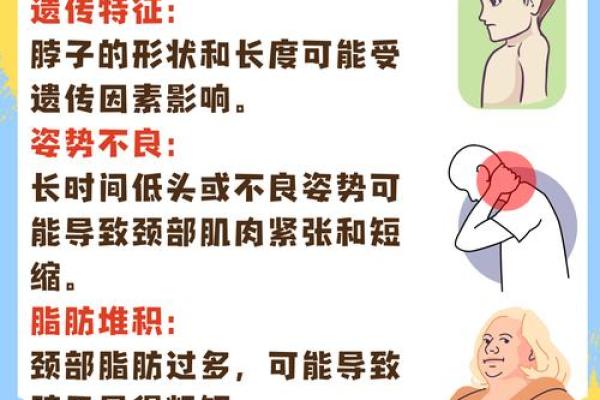 女人脖子细长的命运解析：美丽与运势的微妙关系