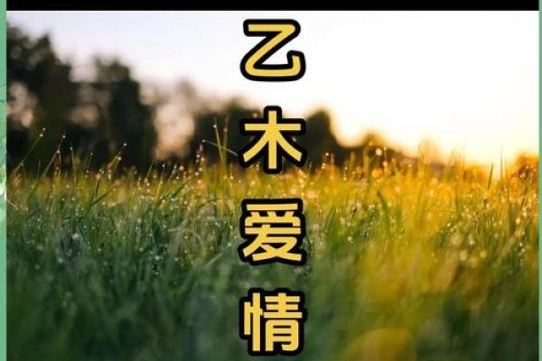 平地木男命与女命的最佳配对，探寻和谐美满的爱情之道